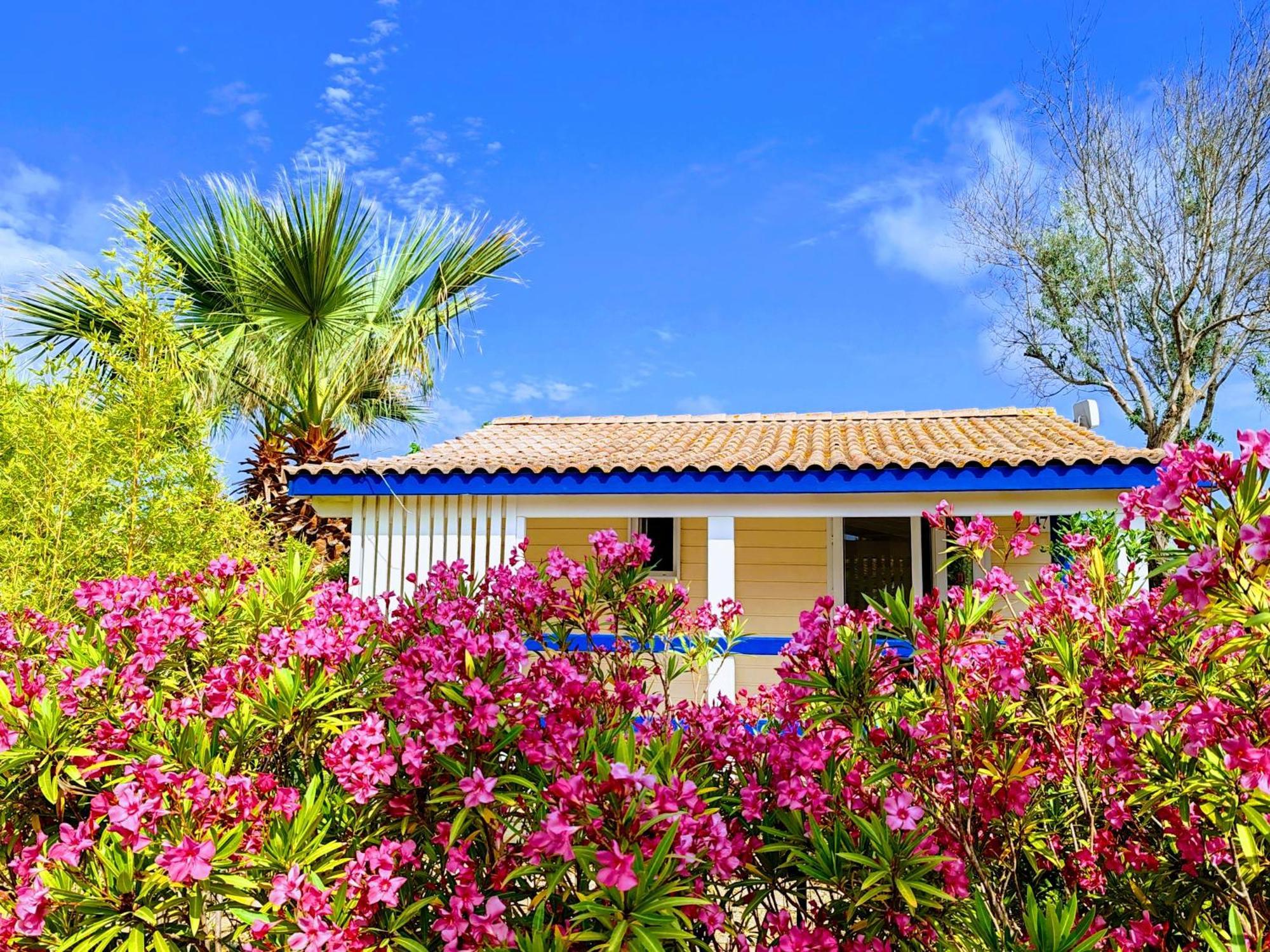 Camping Hameau Des Cannisses Gruissan Exterior foto